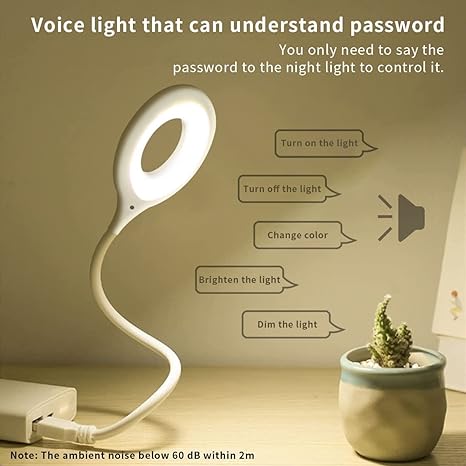 USB Smart Voice Control Light