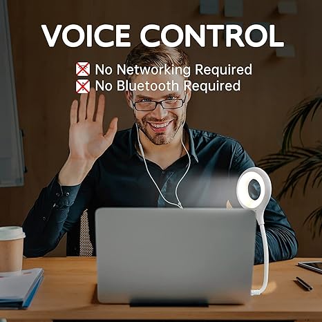 USB Smart Voice Control Light